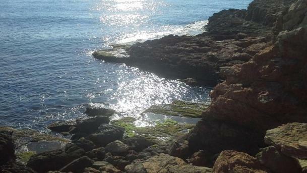 Madamme Curie Apartment Torrevieja Luaran gambar
